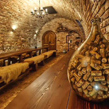 Vinarstvi Cervinka Guest house Horni Vestonice