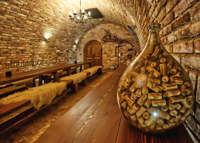 Vinařství červinka Pensión Horni Vestonice
